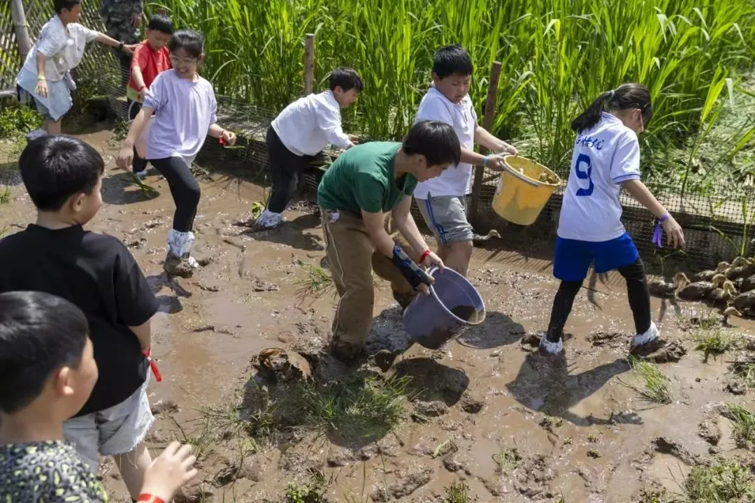 1746498861746050.webp 640 (1).webp