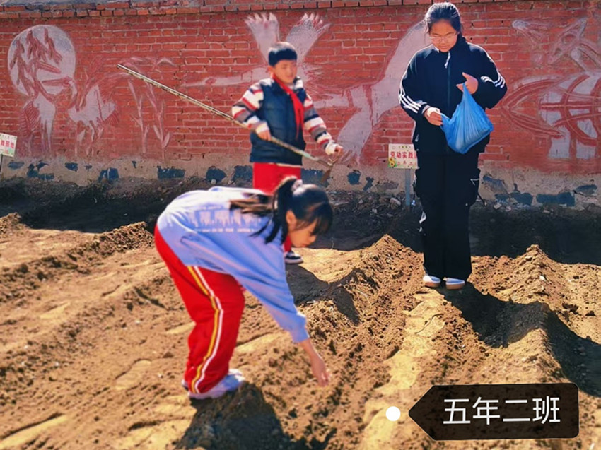 元宝山区马蹄营子小学快乐春耕，播种希望活动照片8_副本.jpg