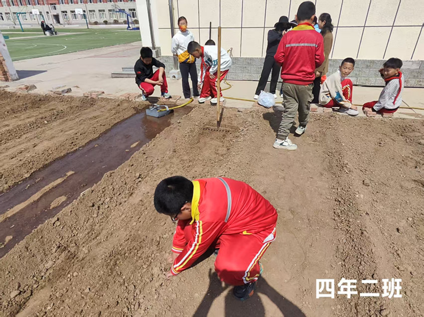 元宝山区马蹄营子小学快乐春耕，播种希望活动照片3_副本.jpg