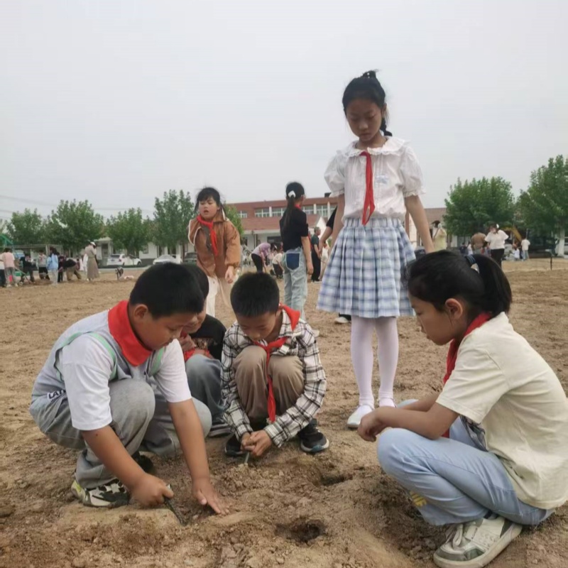 1747386424393129.jpg 01.jpg