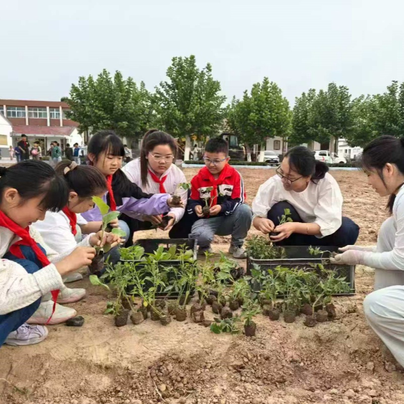 1747386437961144.jpg 02.jpg