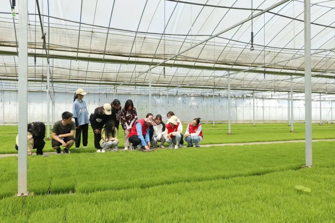 1748414644815454.jpg 1748414644815454.jpg