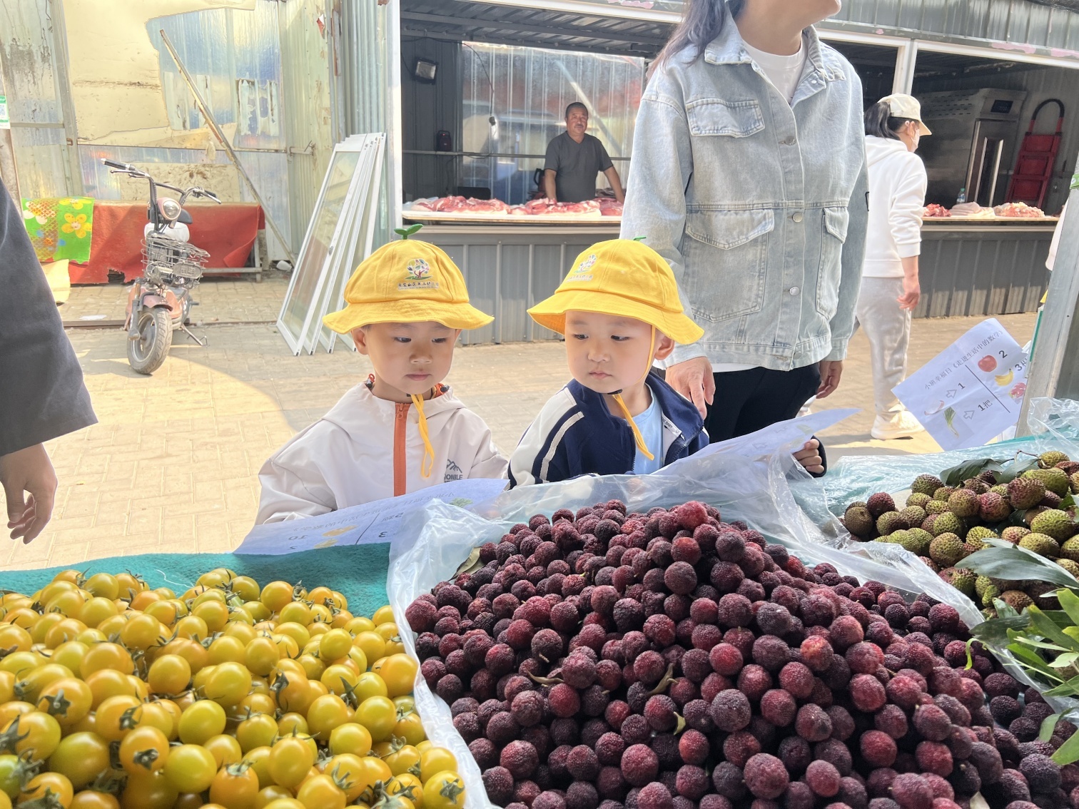 元宝山区第三幼儿园“菜场大探秘，幼儿趣体验活动照片4_副本_副本.jpg