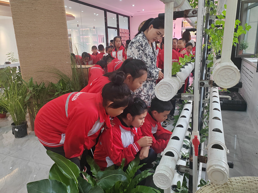 元宝山区平庄西城街道新景四季东社区、西城小学关工委开展校社联动播种希望，科普同行共育新苗活动照片1_副本.jpg