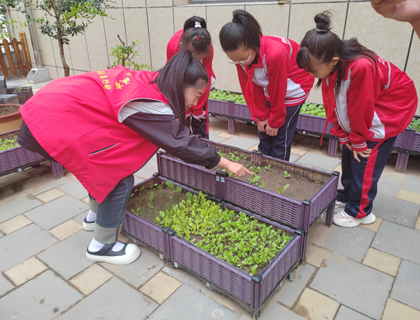 元宝山区平庄西城街道新景四季东社区、西城小学关工委开展校社联动播种希望，科普同行共育新苗活动照片4_副本.jpg