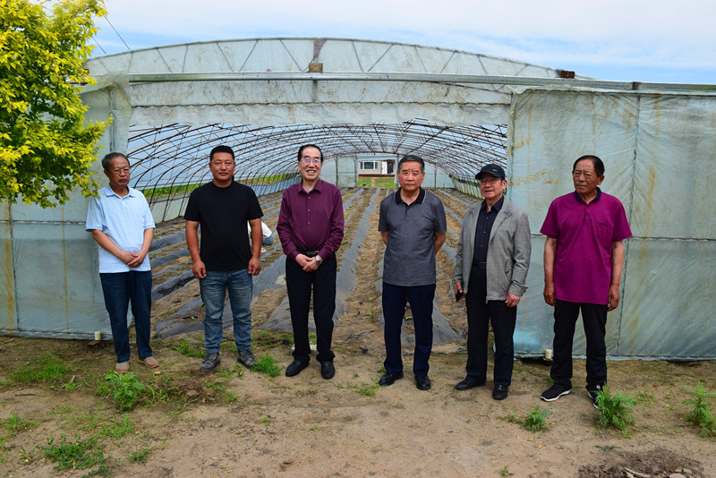 1750383149944265.jpg DSC_0286.JPG