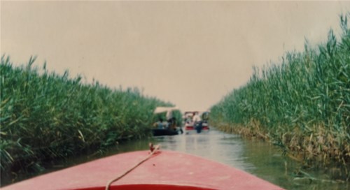 1751013354512438.jpg 1d93065d00c32dd2c17c2475eade61e_副本.jpg