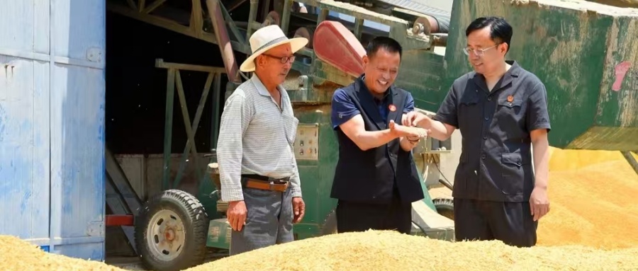 1751164124242896.jpg 001.jpg