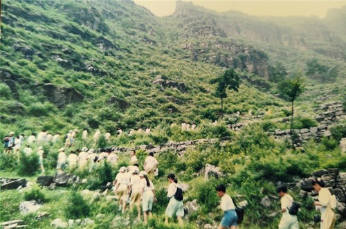 1751443208732649.jpg 42f36b64eee87b57022aedfd81b2e9b_副本.jpg