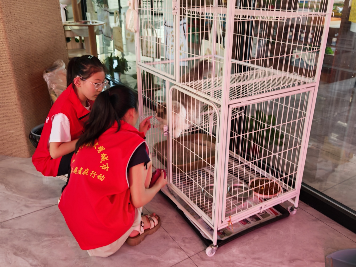 元宝山区西城街道新景四季东社区“小小治理家 社区大管家”活动照片4_副本.jpg