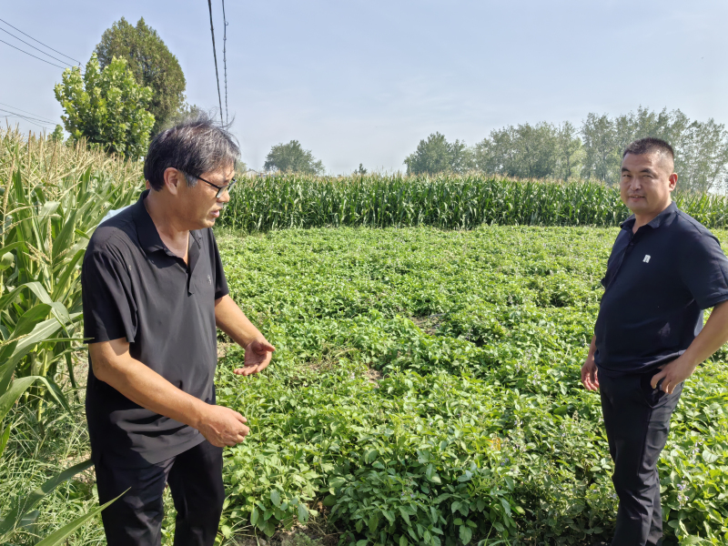 1756350238746748.jpg 3.jpg