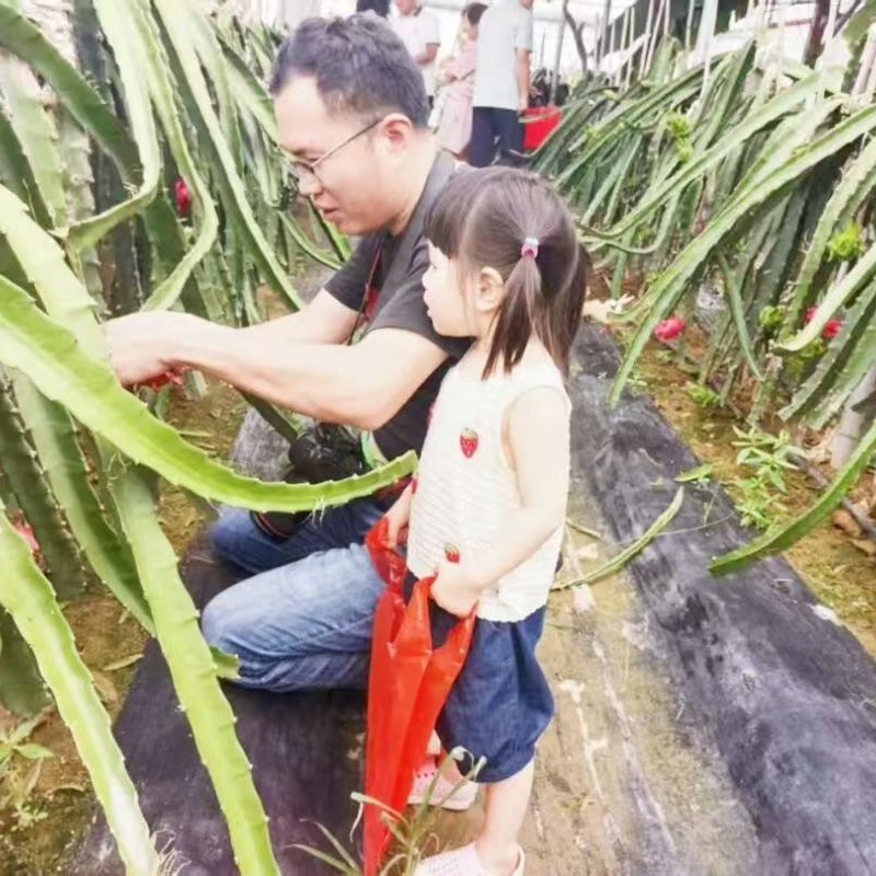 1757386711570794.jpg 01.jpg