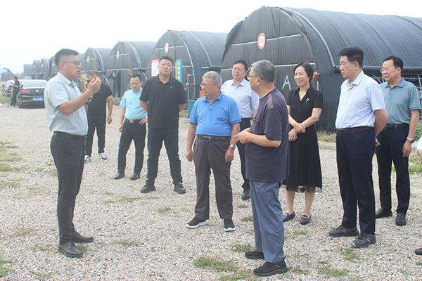 1758011751769269.png 图片1.png