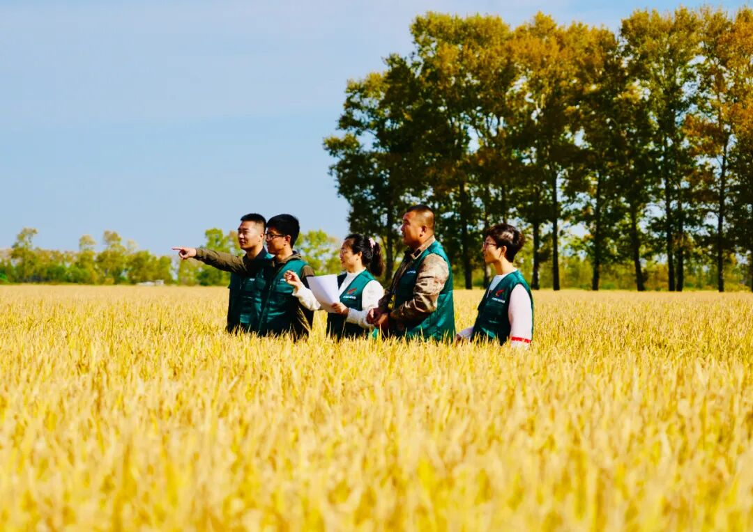 1758075568327335.png 梧桐河3.png