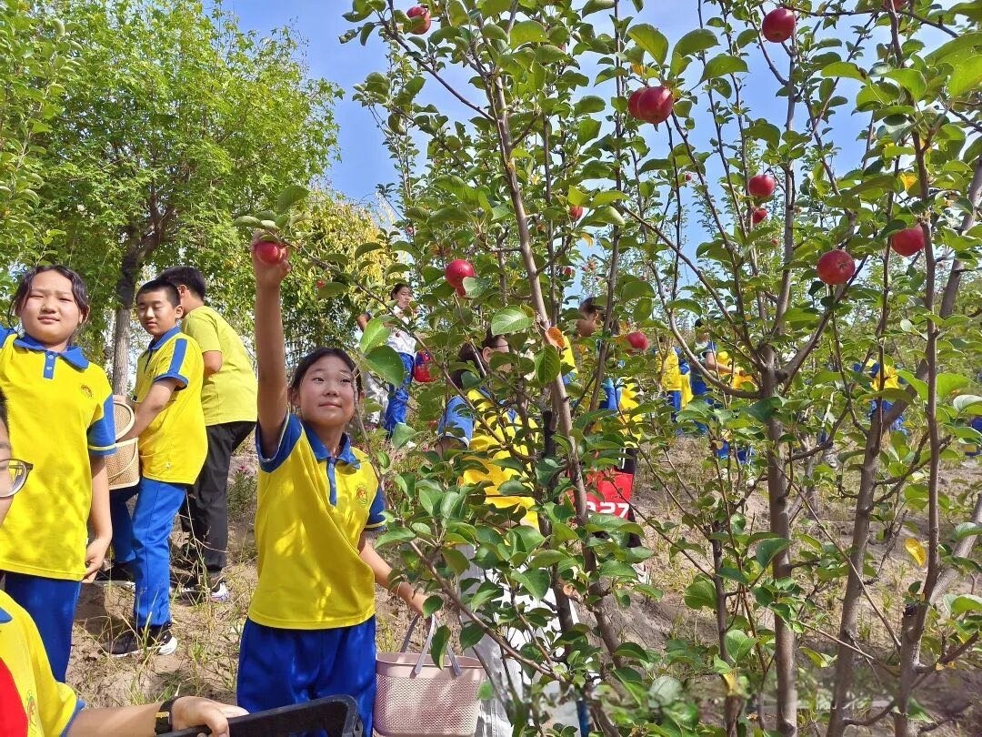 1758267785455119.jpg 微信图片_20250919153339_192_145.jpg