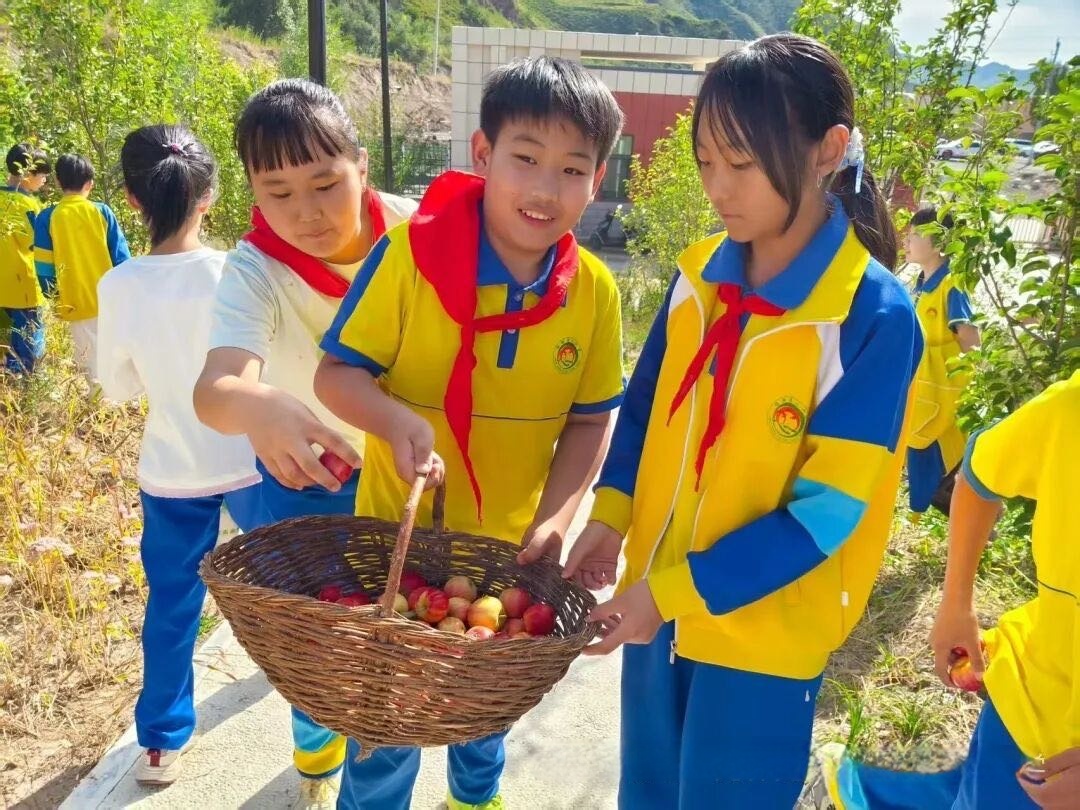 1758267835145647.jpg 微信图片_20250919153314_191_145.jpg