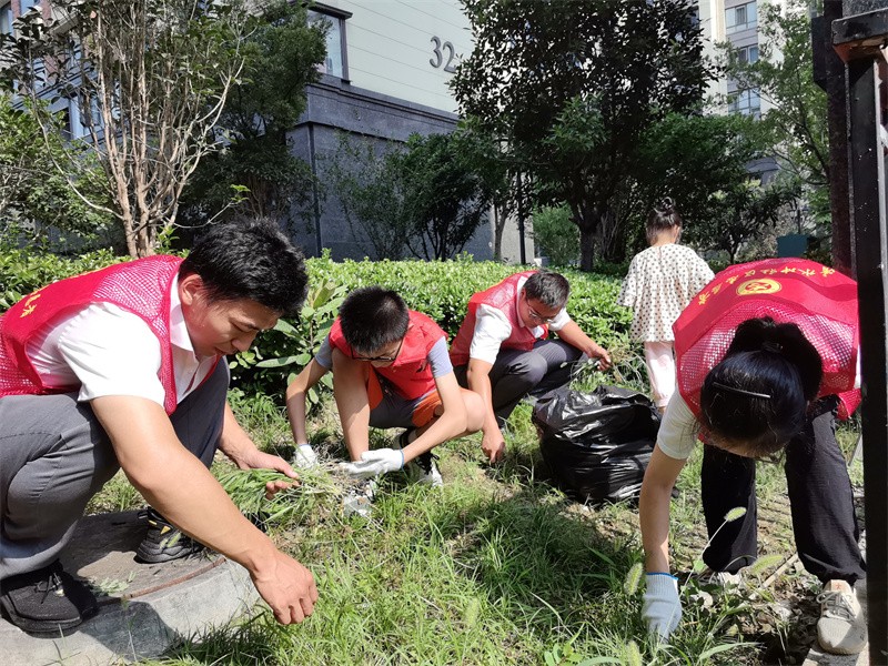 1758268993491159.jpg 1.jpg