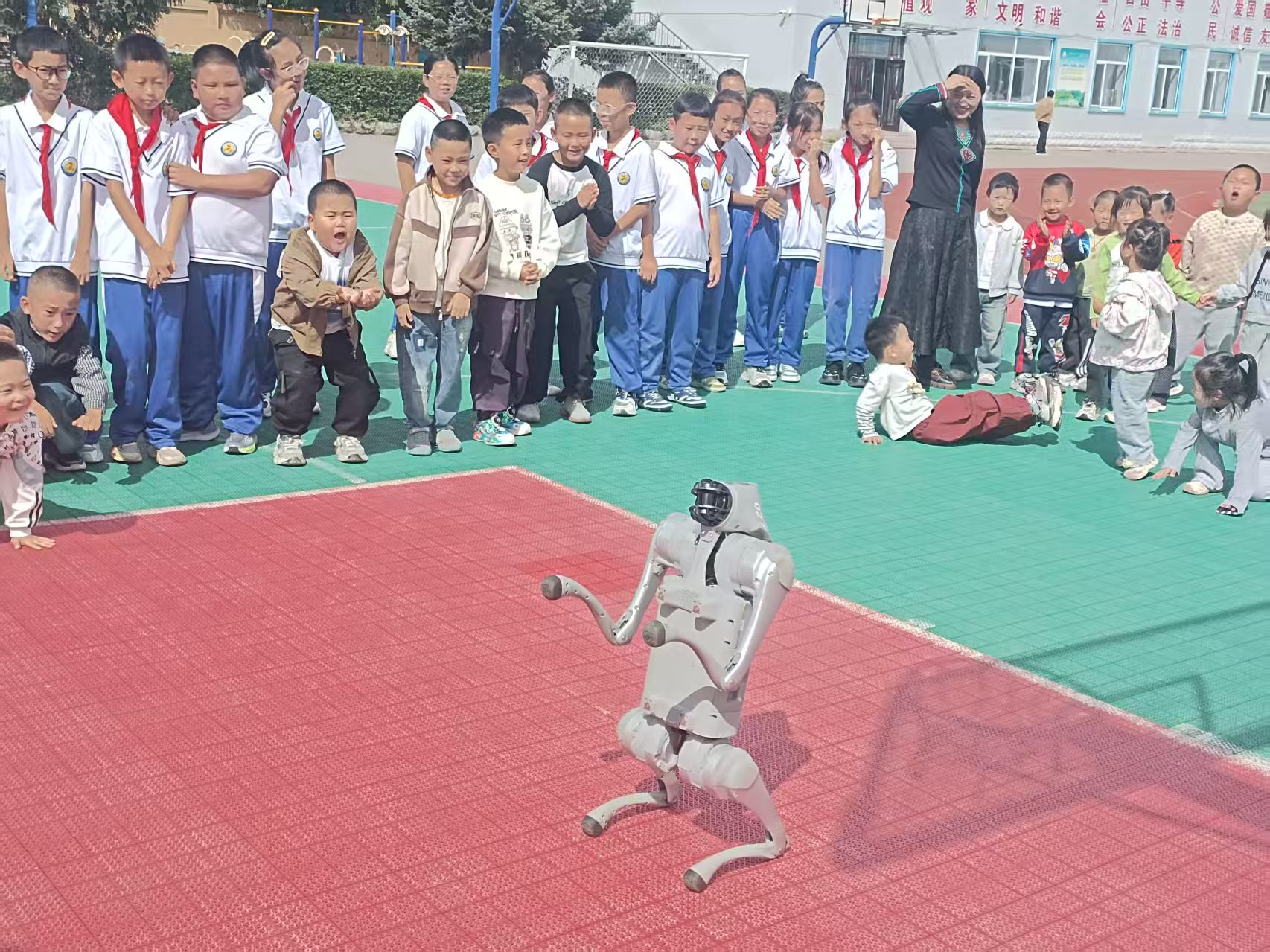 1758353967681529.jpg 微信图片_20250919204050_3_535.jpg