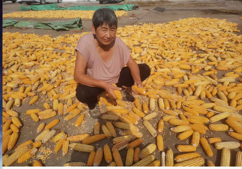 1758696933602147.png 5dfb7a0550e80a654bec1b599270e6d.png