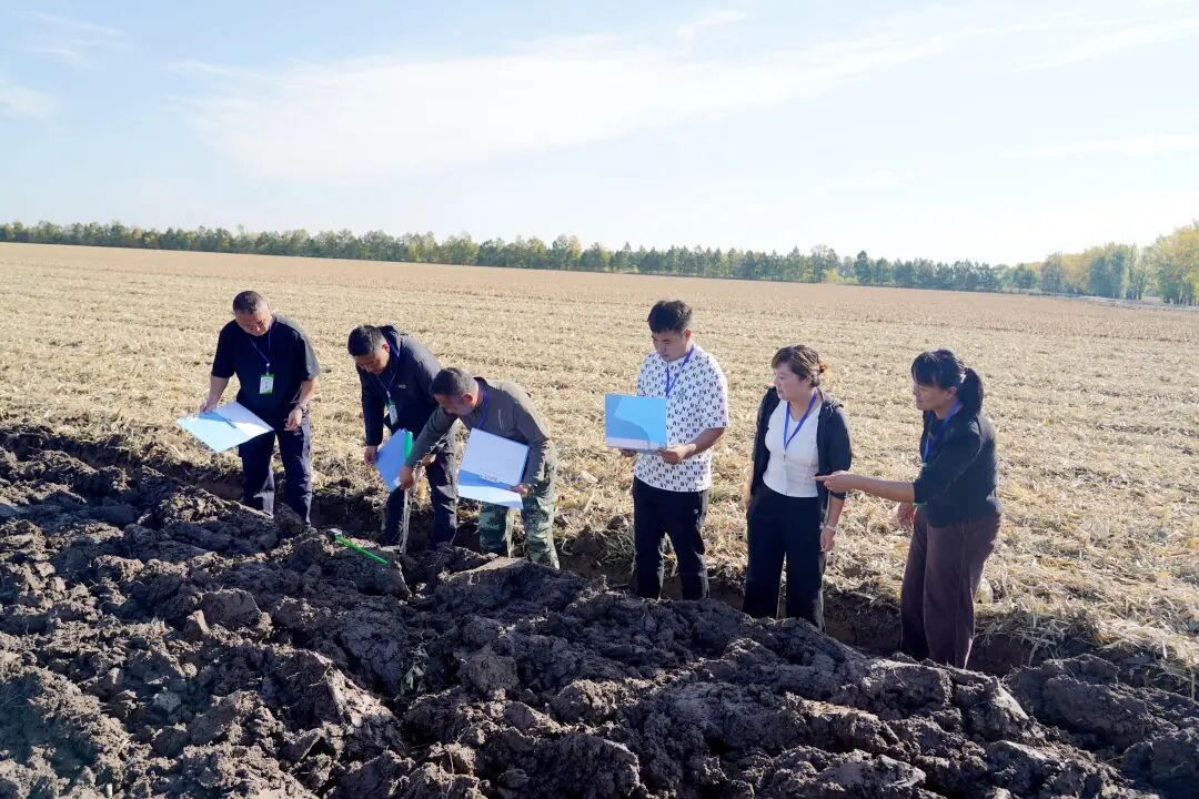 1759116941812337.jpg 新华1.jpg