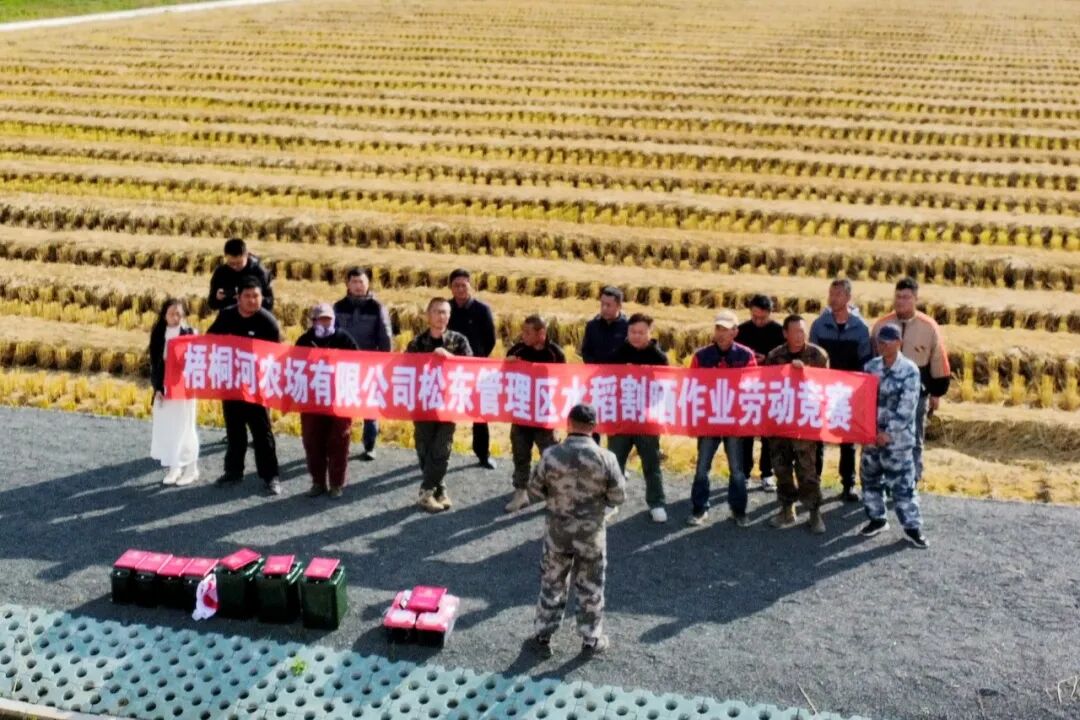 1759116989802212.jpg 640 (1).jpg