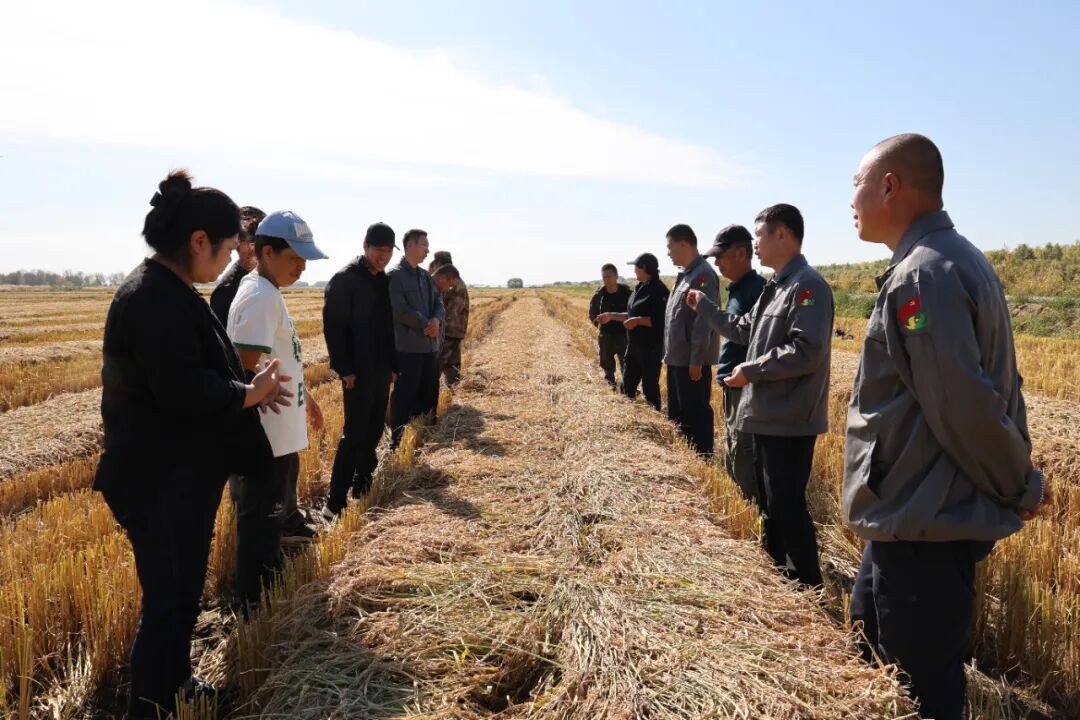 1759117108944926.jpg 640 (5).jpg