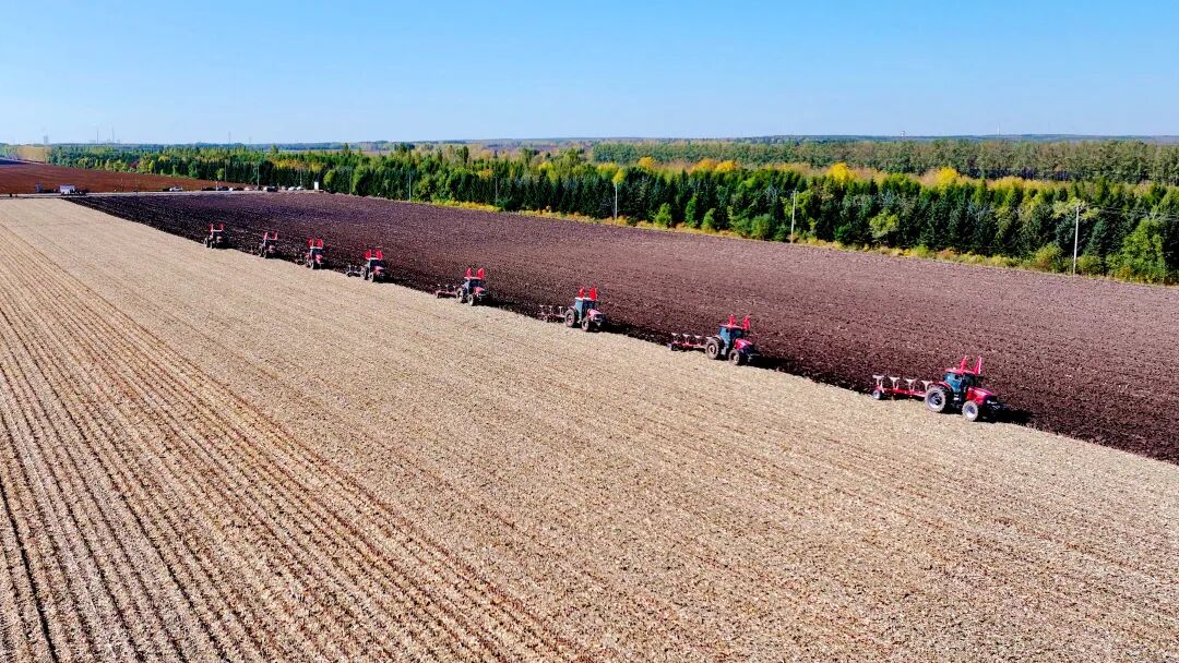 1759117208735029.jpg 640 (6).jpg