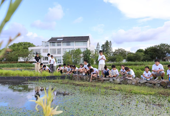 震泽镇众安桥村：情暖双节 护航成长.png