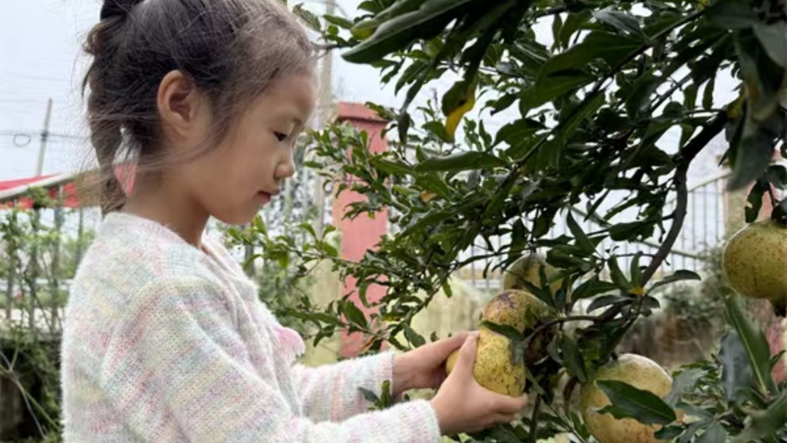 1760167945605526.jpg 01.jpg