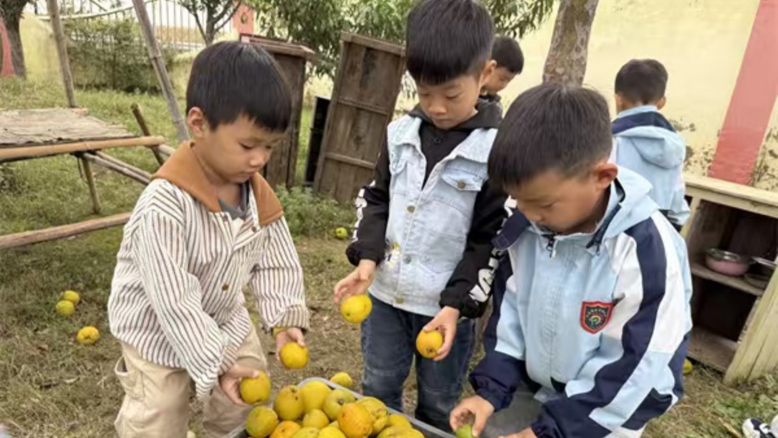 1760167984681352.jpg 04.jpg