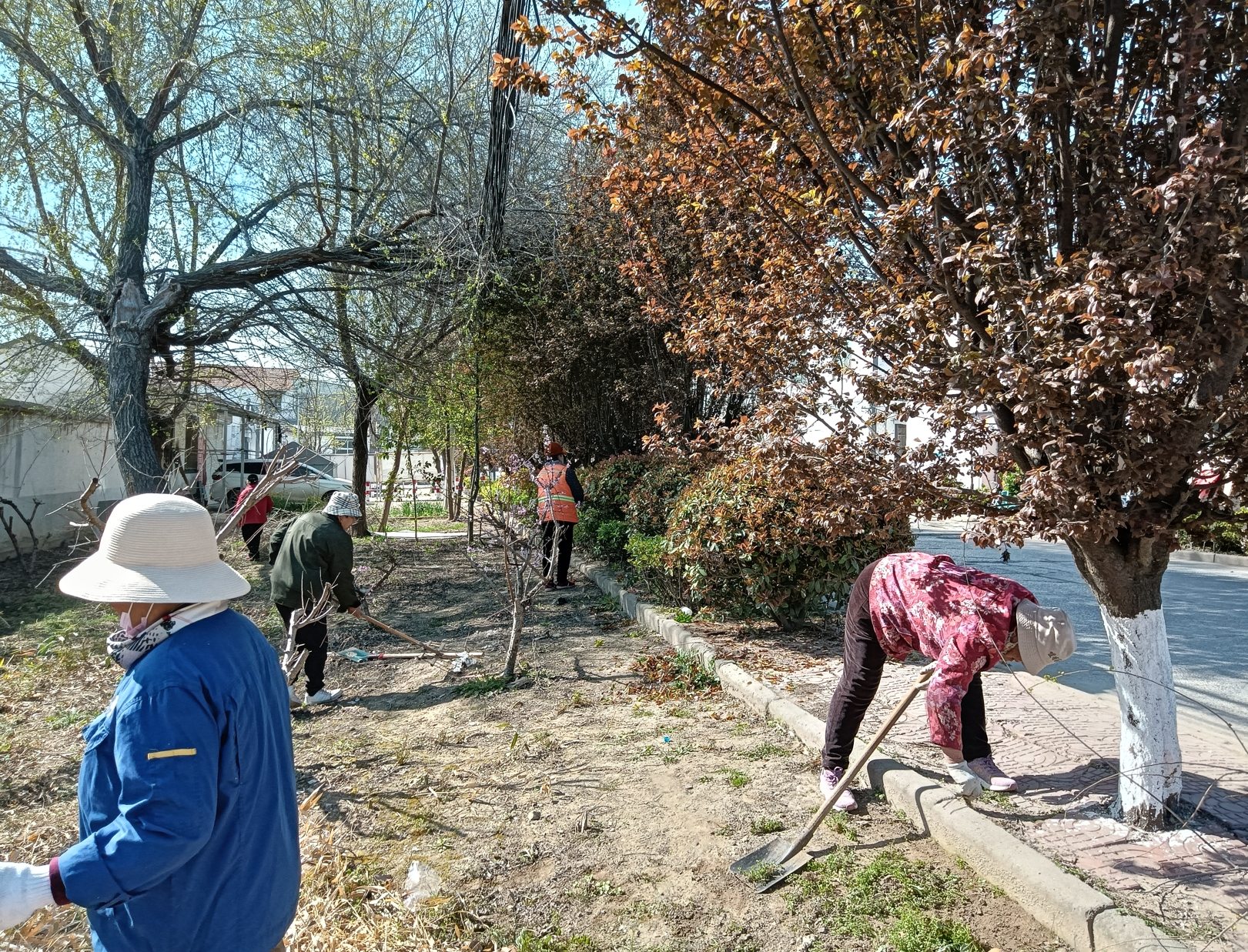 1760343008206375.jpg ddd.jpg