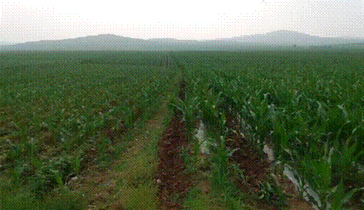 image002.gif
