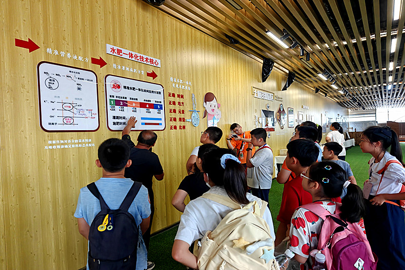 江苏省南京市鼓楼区凤凰街道凤凰西街社区关工委开展“童行动 乐成长”秋收小果农劳动实践活动(1).jpg