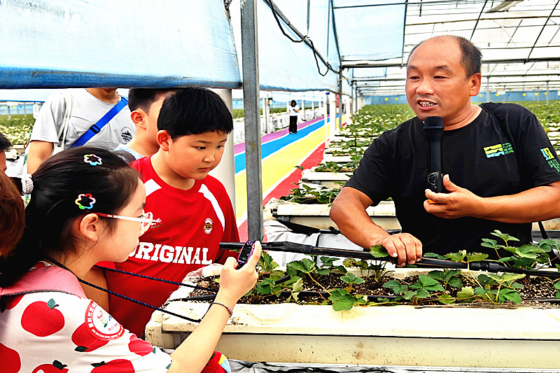 江苏省南京市鼓楼区凤凰街道凤凰西街社区关工委开展“童行动 乐成长”秋收小果农劳动实践活动(2).jpg