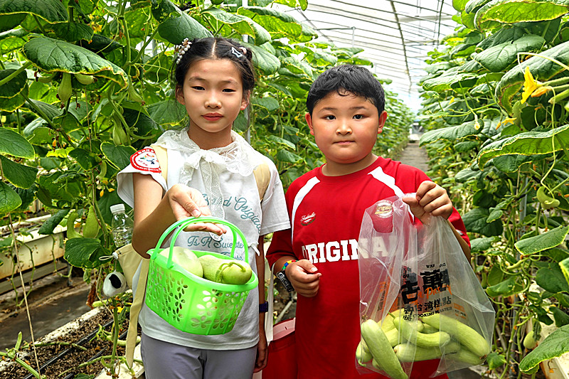 江苏省南京市鼓楼区凤凰街道凤凰西街社区关工委开展“童行动 乐成长”秋收小果农劳动实践活动(4).jpg