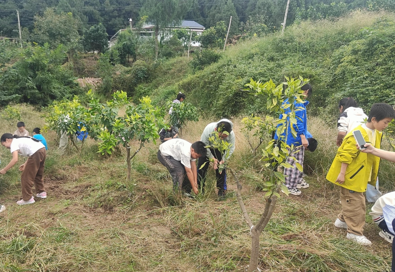 1760941701611885.jpg 微信图片_20251020142017_4_17.jpg