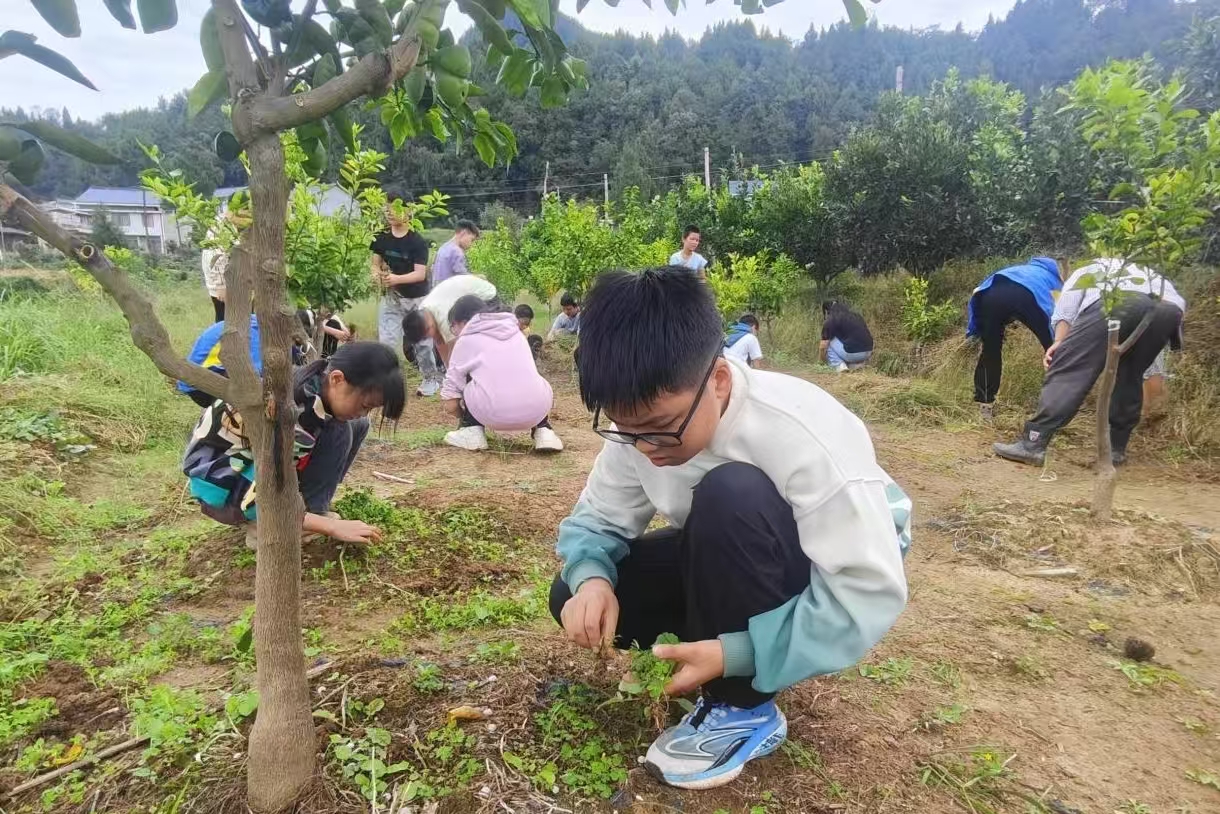 1760942192351804.jpg 微信图片_20251020143124_9_17.jpg