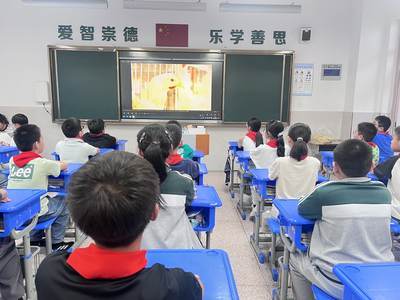 【震泽镇】“五老”领航 筑牢爱粮惜粮防线2.jpg