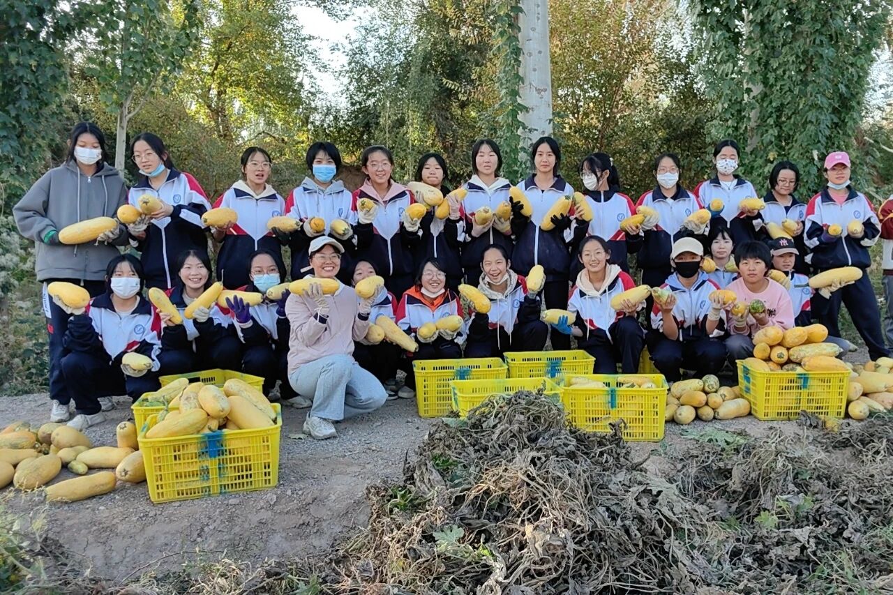 1761014801328920.jpg 7.jpg