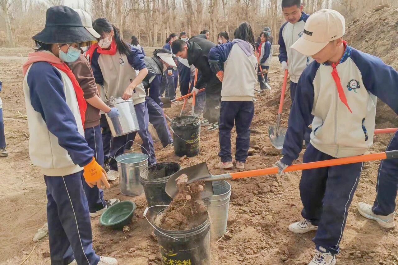 1761014832133973.jpg 1.jpg