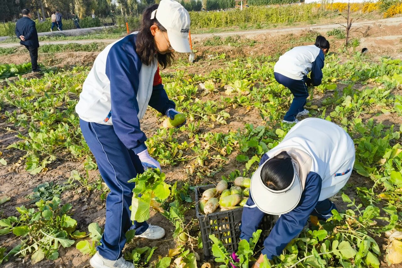 1761014845104415.jpg 6.jpg