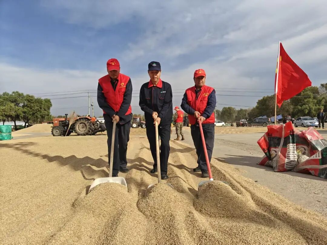 1761100936910543.png 普阳2.png