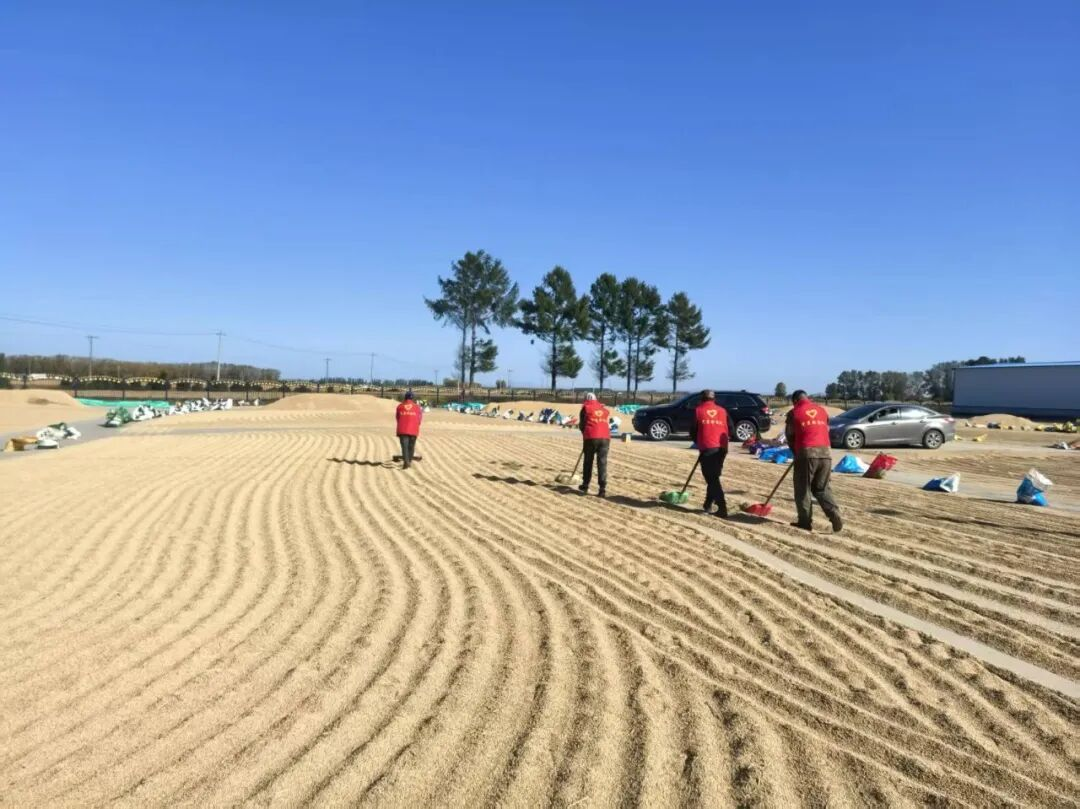 1761101175681948.png 宝2.png