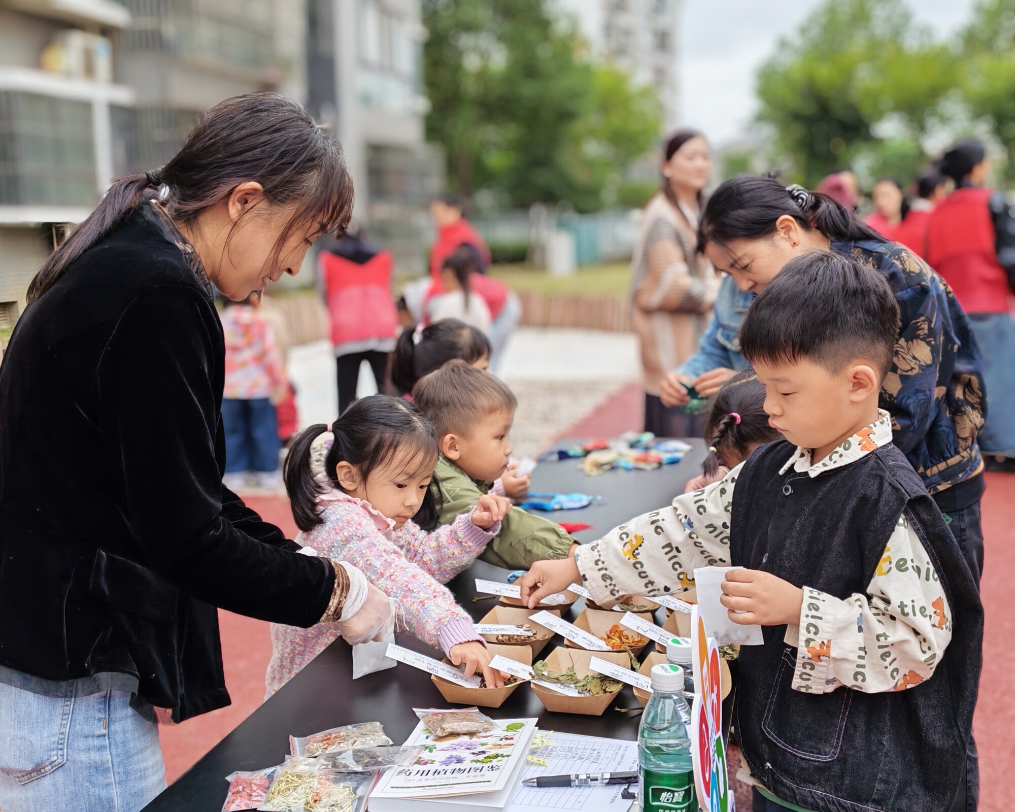 20251020百草园亲子探索——中药里的秘密（3）.jpg