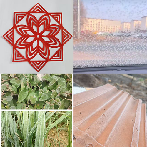 1761180209274948.jpg 图片8.jpg