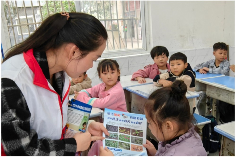 1761204290733533.jpg 1761204290733533.jpg