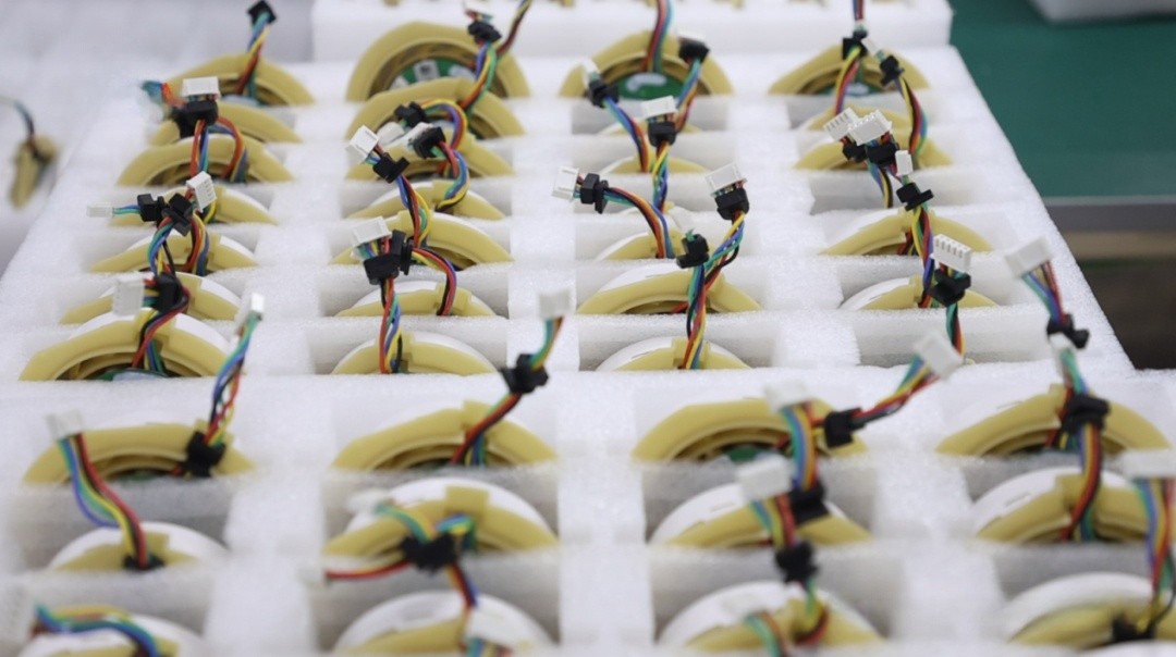 1761255405129341.jpg 小巨人2.jpg