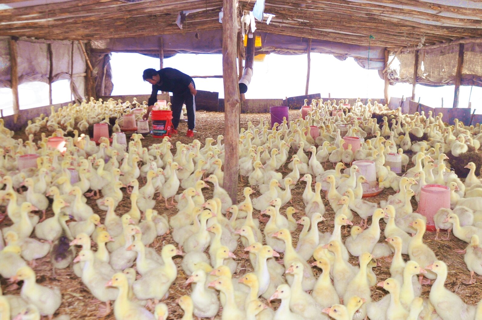 1761266874748164.jpg 11.jpg