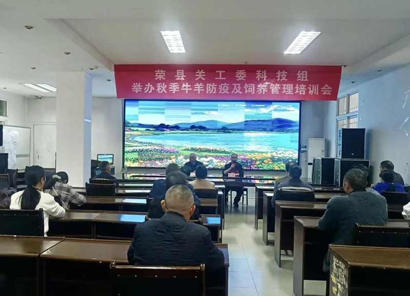 1761377078795149.png 图片5.png