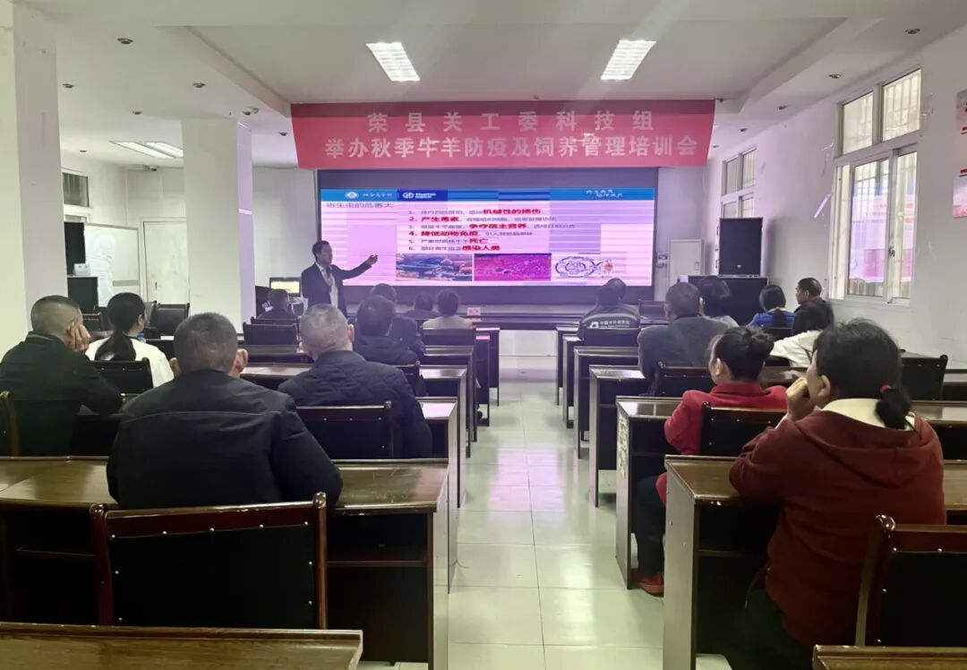 1761377094415895.png 图片6.png